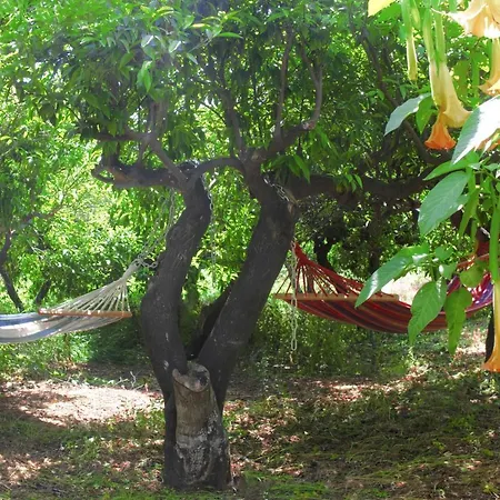 Phlea Farm Άλιντα