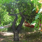 Phlea Farm Άλιντα