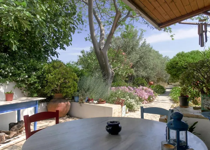 Phlea Farm * أليندا