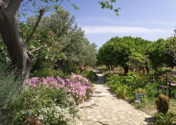 Phlea Farm * أليندا