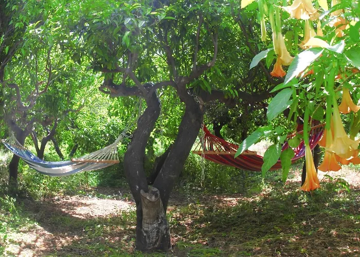 Phlea Farm أليندا